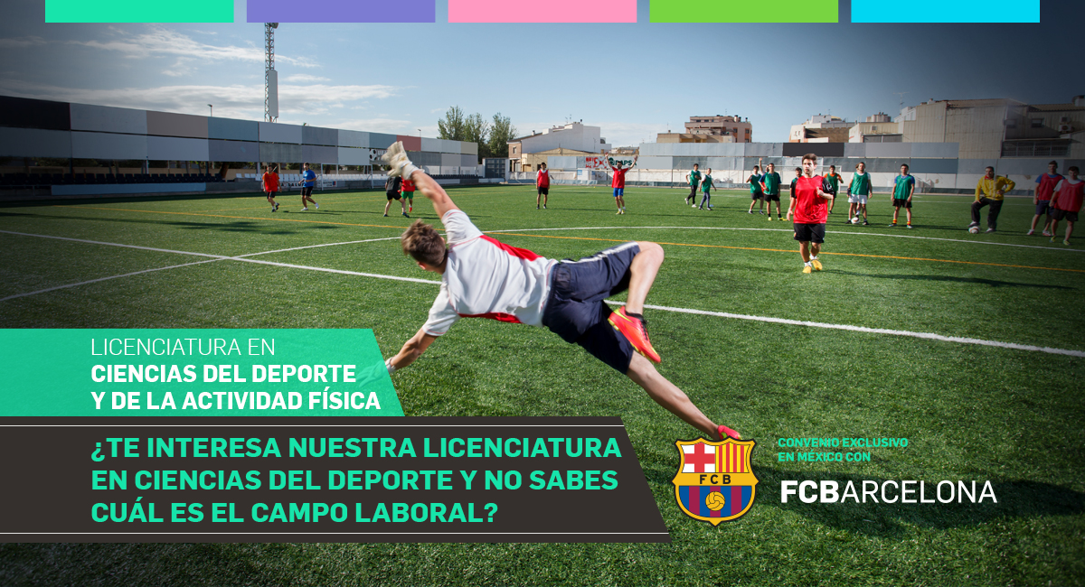 ¿Te interesa nuestra Licenciatura en Ciencias del Deporte y no sabes cuál es el campo laboral?